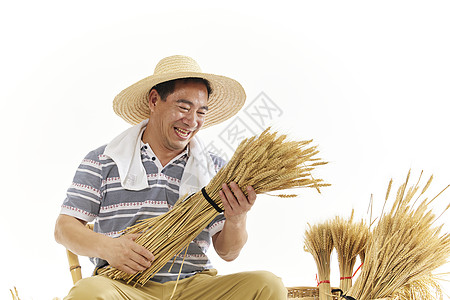 中国农民丰收节手拿小麦的农民形象背景