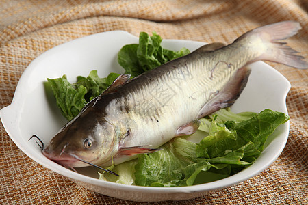 春笋烧鮰鱼图片