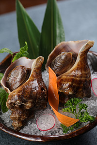 海螺刺身晚餐海螺肉高清图片