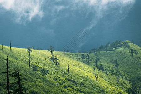 阿尔卑斯山区图片