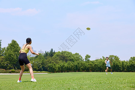 在户外公园玩飞盘的青年男女背景图片