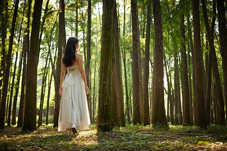树林里穿白色长裙的女性背影图片素材