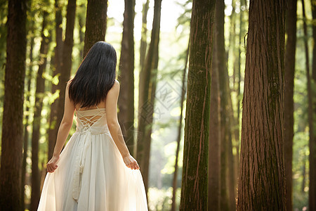树林里穿白色长裙的女性背影背景图片