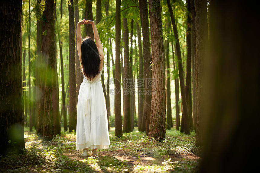 树林里穿白色长裙的美女背影图片
