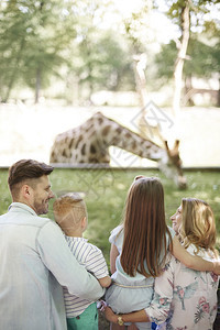 看着长颈鹿如何吃草的家人图片