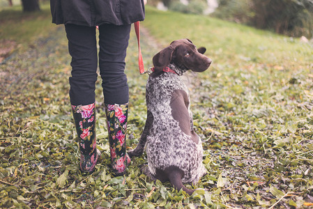 穿着雨靴的女人牵着小狗走在草地上图片