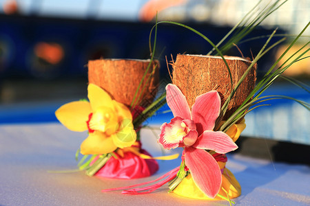 两杯用兰花装饰的椰子图片