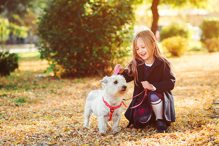 可爱的小女孩在秋天牵着一只狗在皮带上散步图片