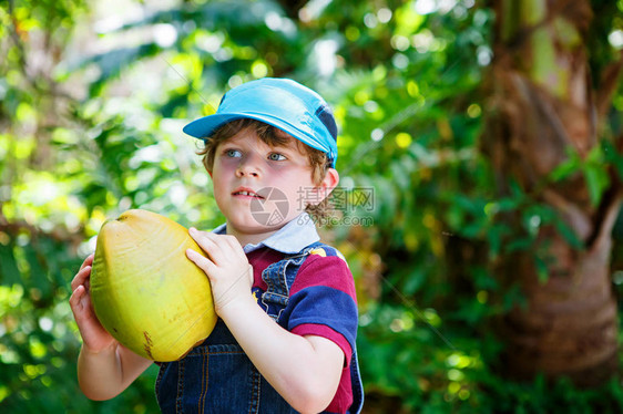 快乐有趣的学龄前小男孩拿着巨大的椰子孩子在热带丛林岛上的家庭度假中玩耍夏天图片