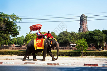 观光客们骑着大象在Ajuttay图片