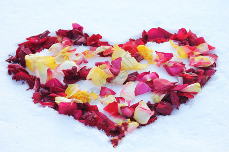 雪地上点缀着玫瑰花瓣的心图片