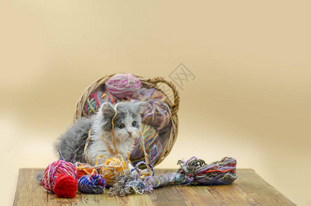 可爱的小猫在橙色背景上玩针织毛线球可爱的小猫小猫在浅色背图片