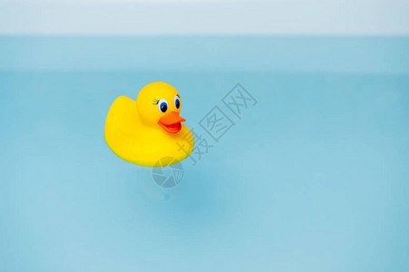 浴缸蓝色水中的黄色橡皮鸭图片