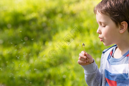 六一儿童节儿童节可爱的小男孩在公园吹dan背景