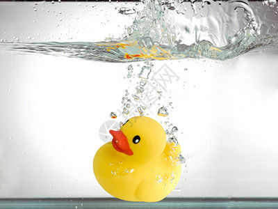 水下黄色橡皮鸭的特写图像背景图片