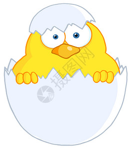 孵化园区惊喜从蛋壳中窥视的黄色小鸡插画