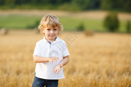 可爱的金发小男孩三年岁玩耍夏天在黄干图片