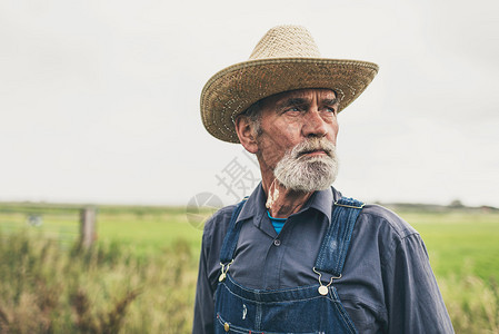 穿着草帽站在农场望着远处的近身男怀图片