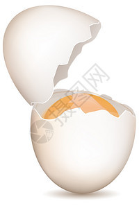 白色背景上破鸡蛋的插图图片
