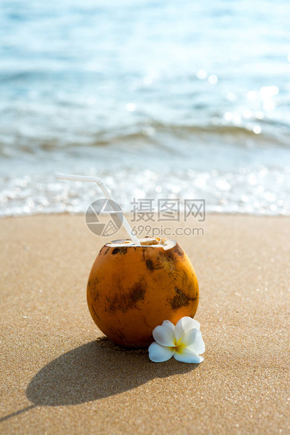 在沙滩花朵的椰子图片