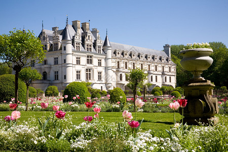 法国卢瓦尔谷花园的ChenonceauChateaudeChen图片