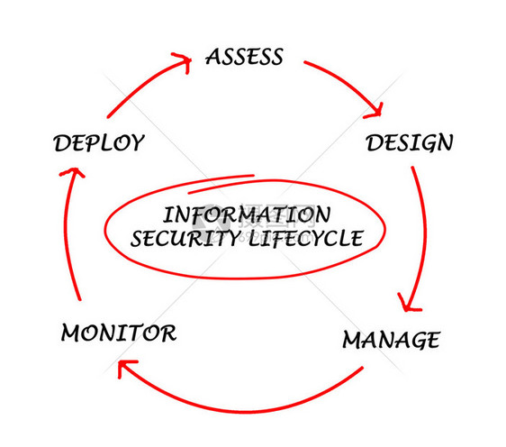 信息安全生命周期图图片