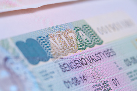 护照宏中的签证图片