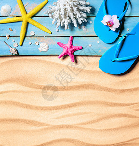 触发器海星贝壳和珊瑚在木和沙子图片