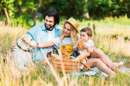 父母和儿子在野餐和棕榈狗图片