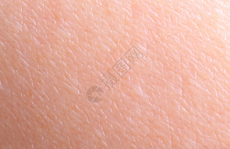 人体皮肤材质图片