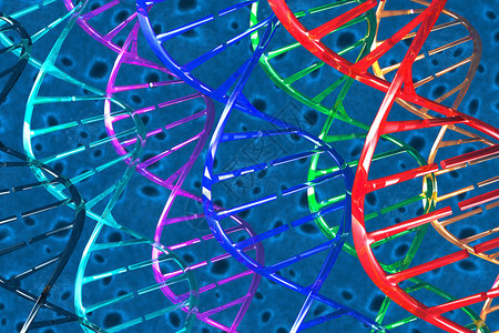 细胞和DNA3D的照片图片