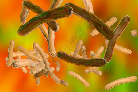 结核分枝杆菌的显微镜观察细菌模型微生物棒状细菌引起结核病的细图片