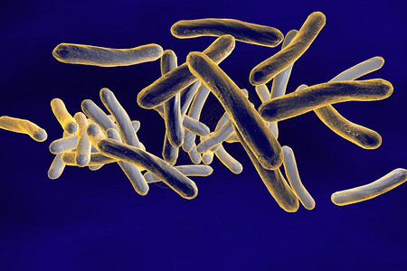 结核分枝杆菌的显微镜观察细菌模型微生物棒状细菌引起结核病的细图片