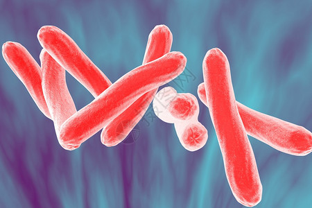 结核分枝杆菌的显微镜观察细菌模型微生物棒状细菌引起结核病的细图片
