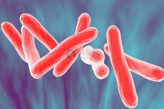 结核分枝杆菌的显微镜观察细菌模型微生物棒状细菌引起结核病的细图片