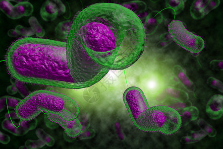 3D近距离说明微生物霍乱菌感染情况图片