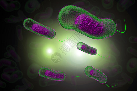 3D近距离说明微生物霍乱菌感染情况图片