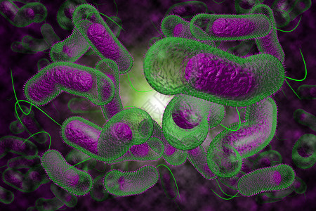 3D近距离说明微生物霍乱菌感染情况图片