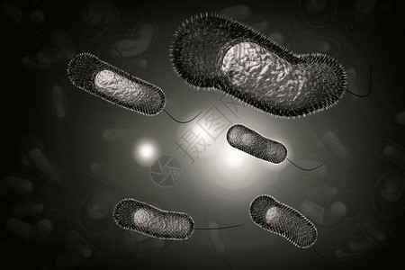 3D近距离说明微生物霍乱菌感染情况图片