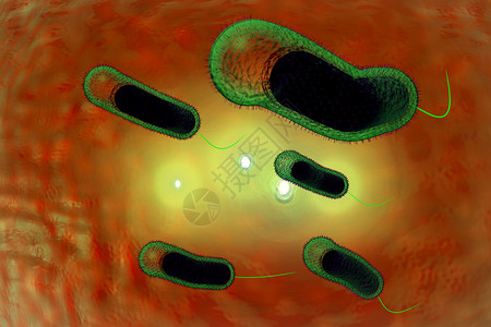 3D近距离说明微生物霍乱菌感染情况图片