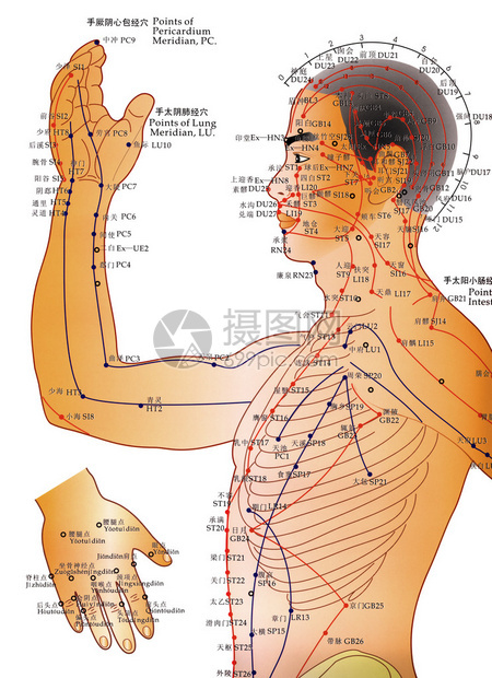 针灸是一种补充医学系统图片