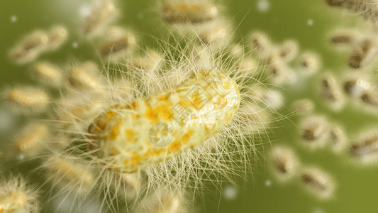 微生物细菌闭合图片