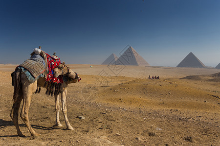 埃及开罗吉萨Cairo图片