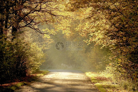 秋天乡村道路日出美景图片