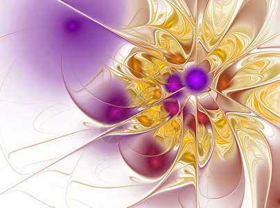 精美的分形花卉艺术计算机生成了图形艺术项目抽图片
