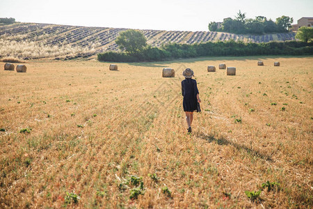 穿着帽子的女孩背面的眼神在农业田里行走着干草篮子图片