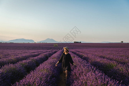 美丽的年轻美女在开花的熏衣草花鲜花法图片