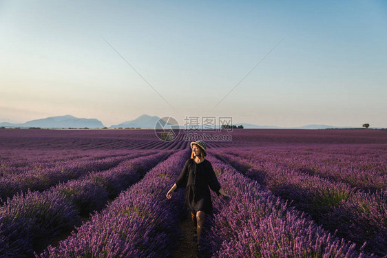 美丽的年轻美女在开花的熏衣草花鲜花法图片