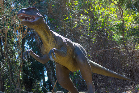 高清图片可怕的食肉恐龙霸王龙高清图片恐龙史前动物高清图片可爱卡通