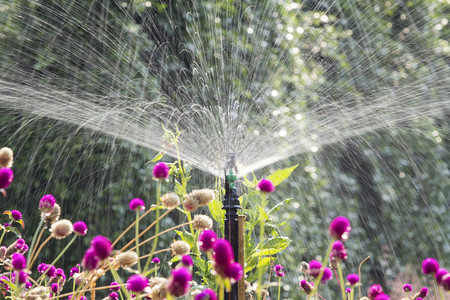 洒水头在花园里浇花图片